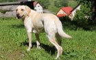 lilli_20200306-175422.jpg
