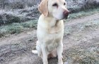 lilli_20200306-175422.jpg