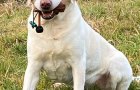 lilli_20200306-175422.jpg