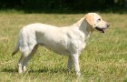 lilli_20200306-175422.jpg